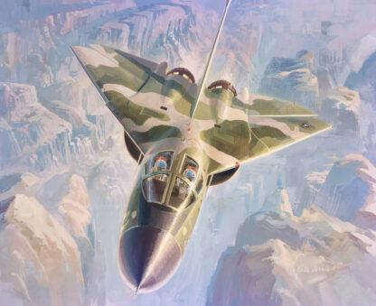 The F-111 Training Flight